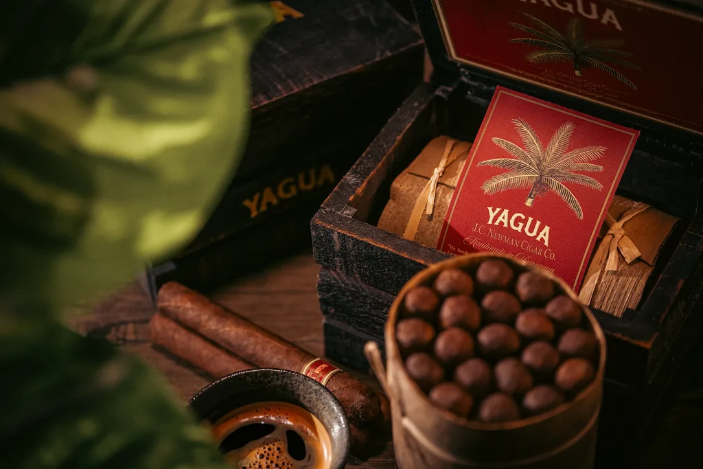 Yagua
