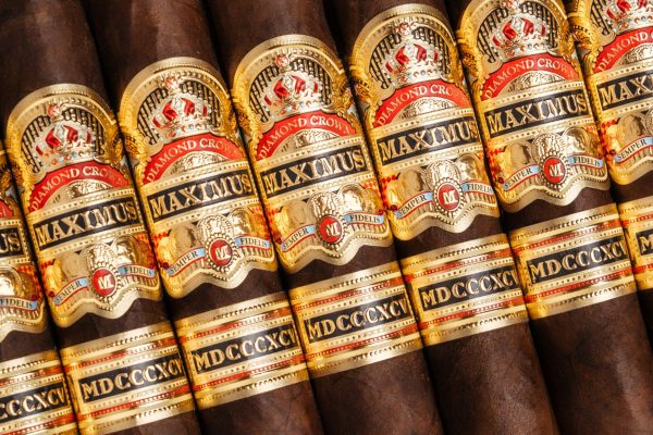 Maximus brand image